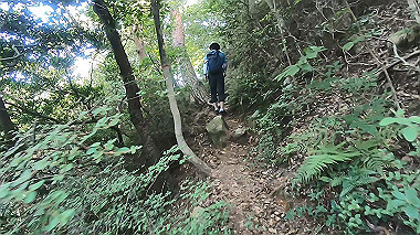gx016784.mp4_snapshot_00.01_thumb.jpg
