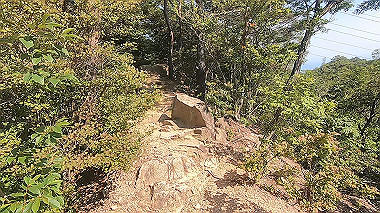 gx016785.mp4_snapshot_00.05_thumb.jpg