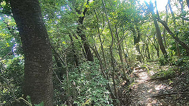 gx016785.mp4_snapshot_01.39_thumb.jpg