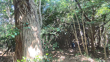 gx016785.mp4_snapshot_03.16_thumb.jpg