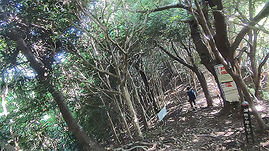 gx016785.mp4_snapshot_03.32_thumb.jpg
