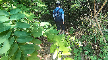 gx016786.mp4_snapshot_00.44_thumb.jpg