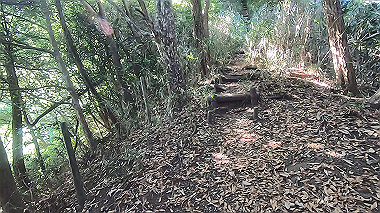 gx016787.mp4_snapshot_02.17_thumb.jpg