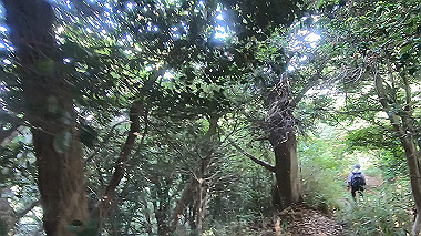 gx016788.mp4_snapshot_00.11_thumb.jpg