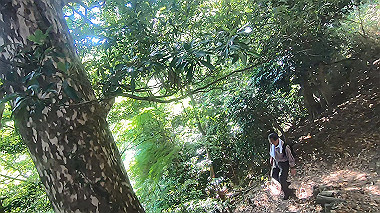 gx016788.mp4_snapshot_01.19_thumb.jpg