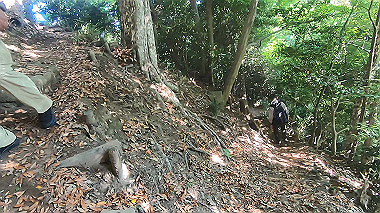 gx016788.mp4_snapshot_01.28_thumb.jpg