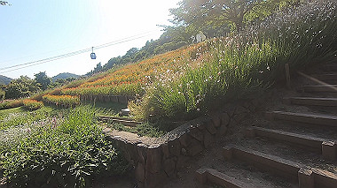gx016789.mp4_snapshot_00.00_thumb.jpg