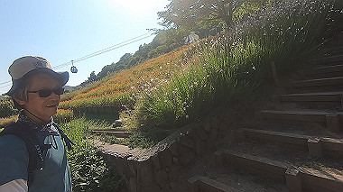 gx016789.mp4_snapshot_00.02_thumb.jpg