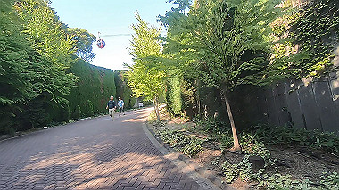 gx016790.mp4_snapshot_00.00_thumb.jpg