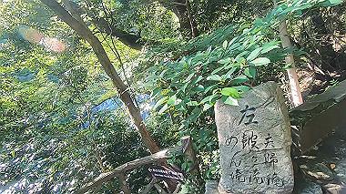 gx016793.mp4_snapshot_00.26_thumb.jpg