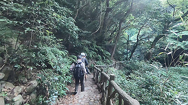 gx016794.mp4_snapshot_00.04_thumb.jpg