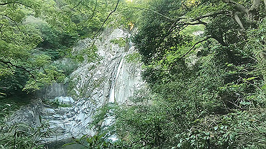 gx016794.mp4_snapshot_00.16_thumb.jpg