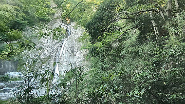 gx016794.mp4_snapshot_00.24_thumb.jpg
