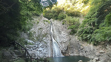 gx016795.mp4_snapshot_00.00_thumb.jpg