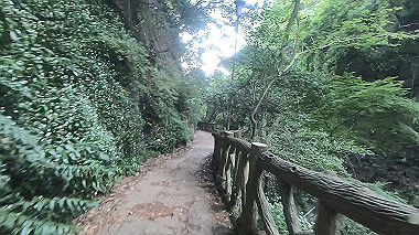 gx016796.mp4_snapshot_00.42_thumb.jpg