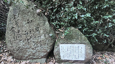 gx016796.mp4_snapshot_00.56_thumb.jpg