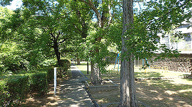 p6090520_thumb.jpg