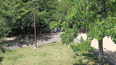p6090528_thumb.jpg