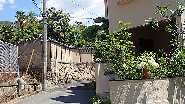 p6090535_thumb.jpg