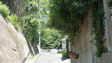 p6090537_thumb.jpg