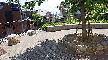 p6090543_thumb.jpg