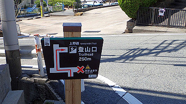 p6090551_thumb.jpg