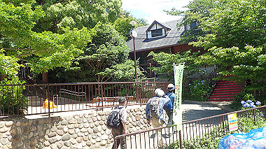p6090553_thumb.jpg