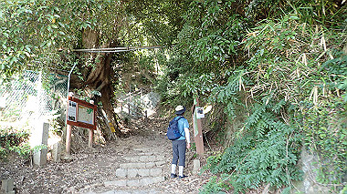 p6090557_thumb.jpg