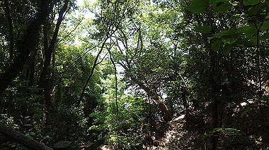 p6090563_thumb.jpg