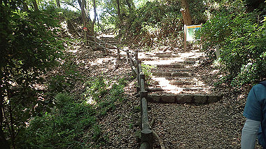 p6090566_thumb.jpg
