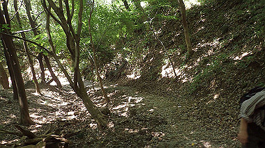 p6090568_thumb.jpg