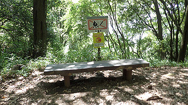p6090572_thumb.jpg
