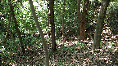 p6090574_thumb.jpg