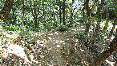 p6090588_thumb.jpg