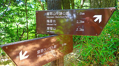 p6090589_thumb.jpg