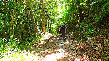 p6090590_thumb.jpg