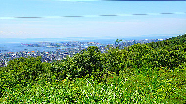 p6090593_thumb.jpg