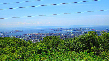 p6090594_thumb.jpg