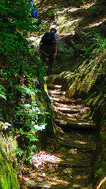 p6090599_thumb.jpg