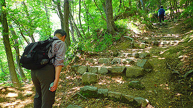 p6090600_thumb.jpg