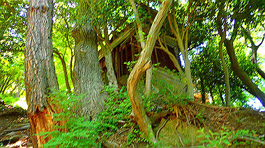 p6090607_thumb.jpg