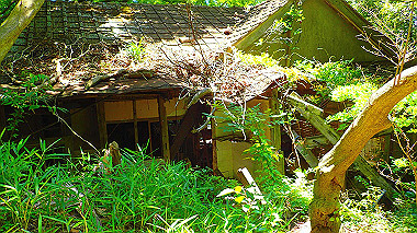 p6090611_thumb.jpg