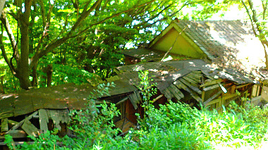 p6090612_thumb.jpg