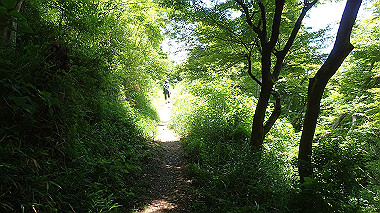 p6090617_thumb.jpg