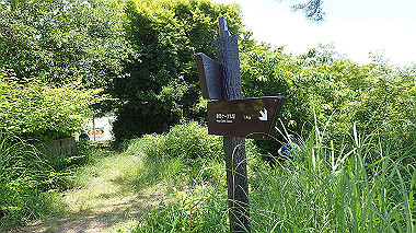 p6090618_thumb.jpg