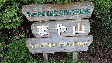 p6090625_thumb.jpg