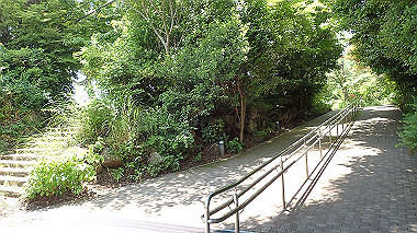 p6090626_thumb.jpg