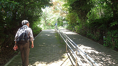p6090627_thumb.jpg