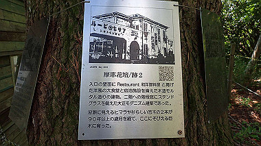 p6090638_thumb.jpg