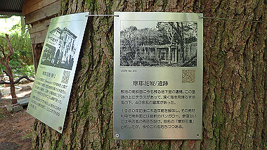 p6090639_thumb.jpg
